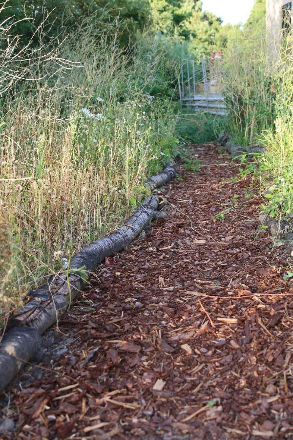 Natuurlijk Genieten Bemmel Εξωτερικό φωτογραφία